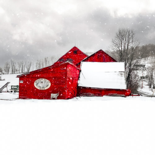 Winter's Last Gasp